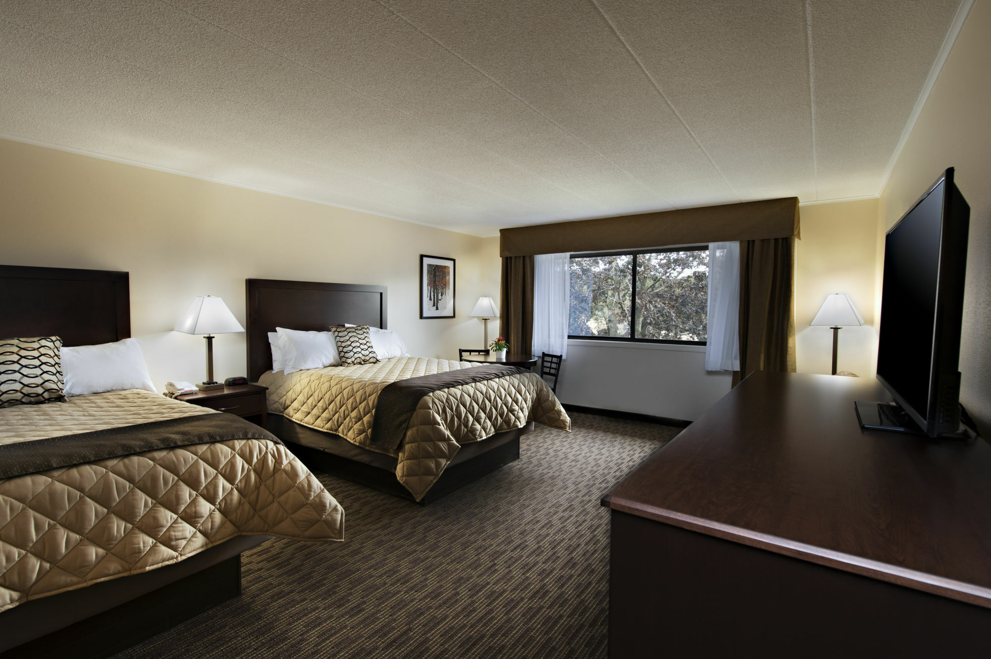 Chestnut Mountain Resort Galena Buitenkant foto