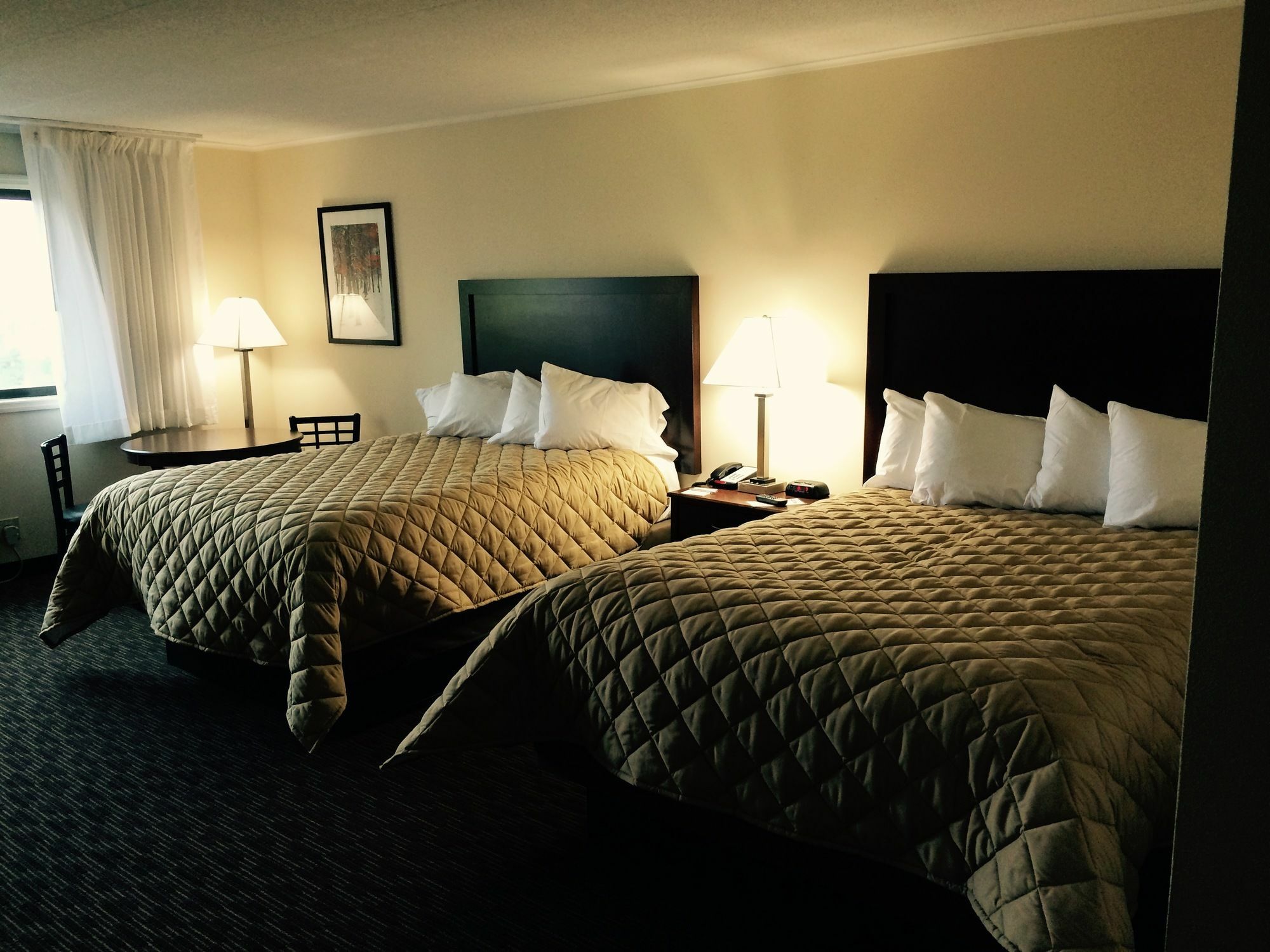 Chestnut Mountain Resort Galena Buitenkant foto